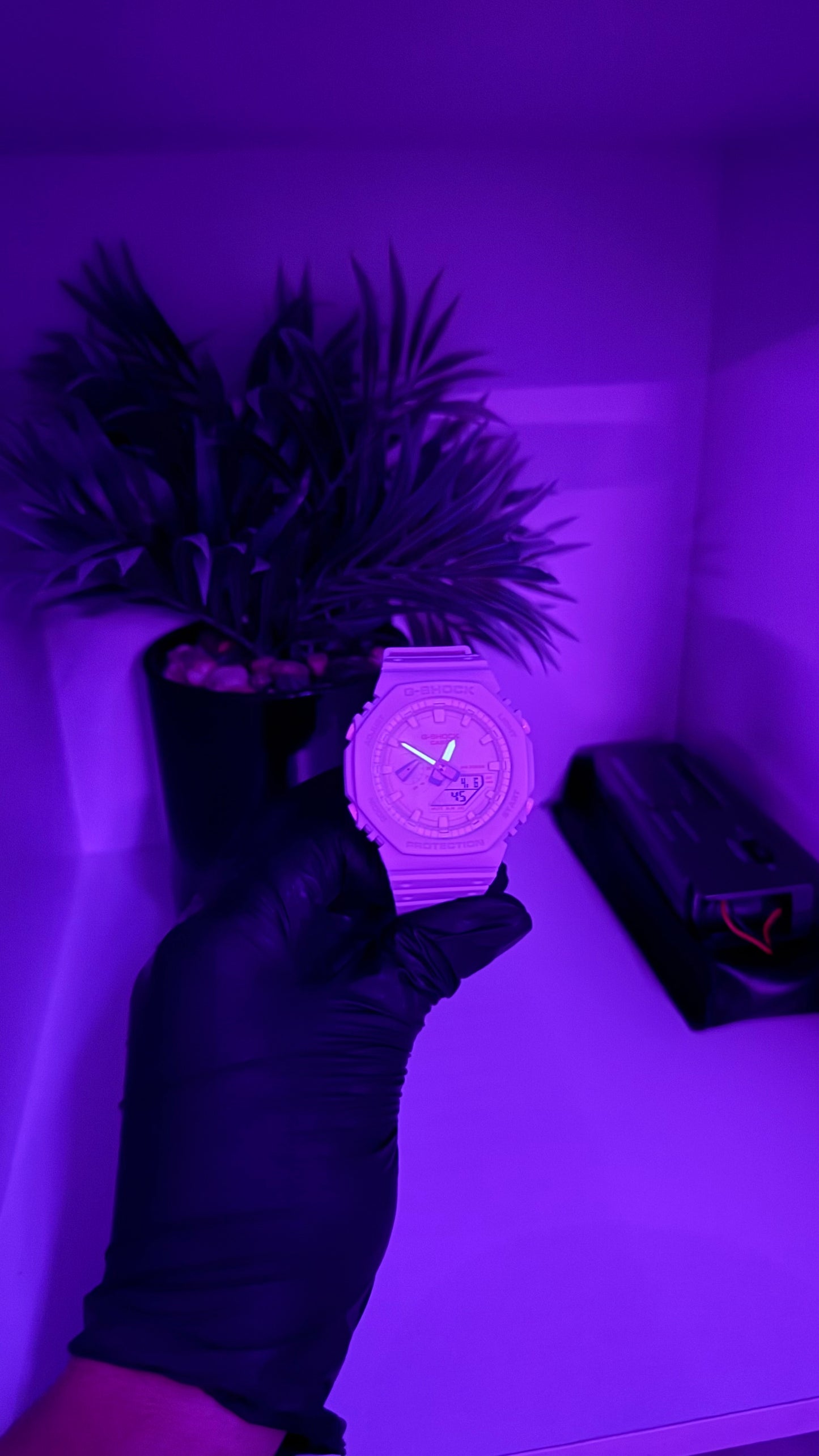 Custom Pink panther Shock