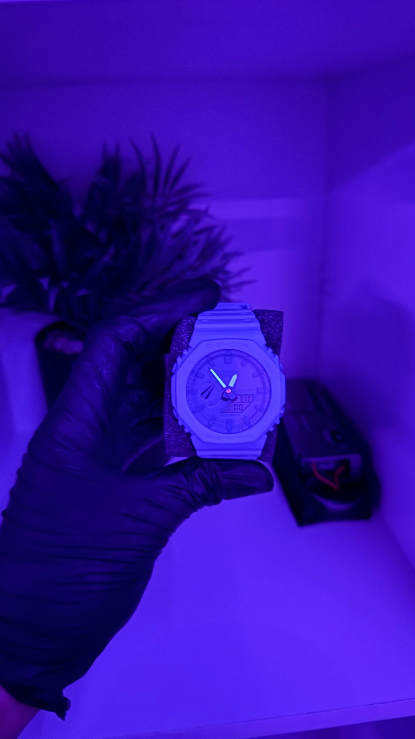 Custom Blue Shock π