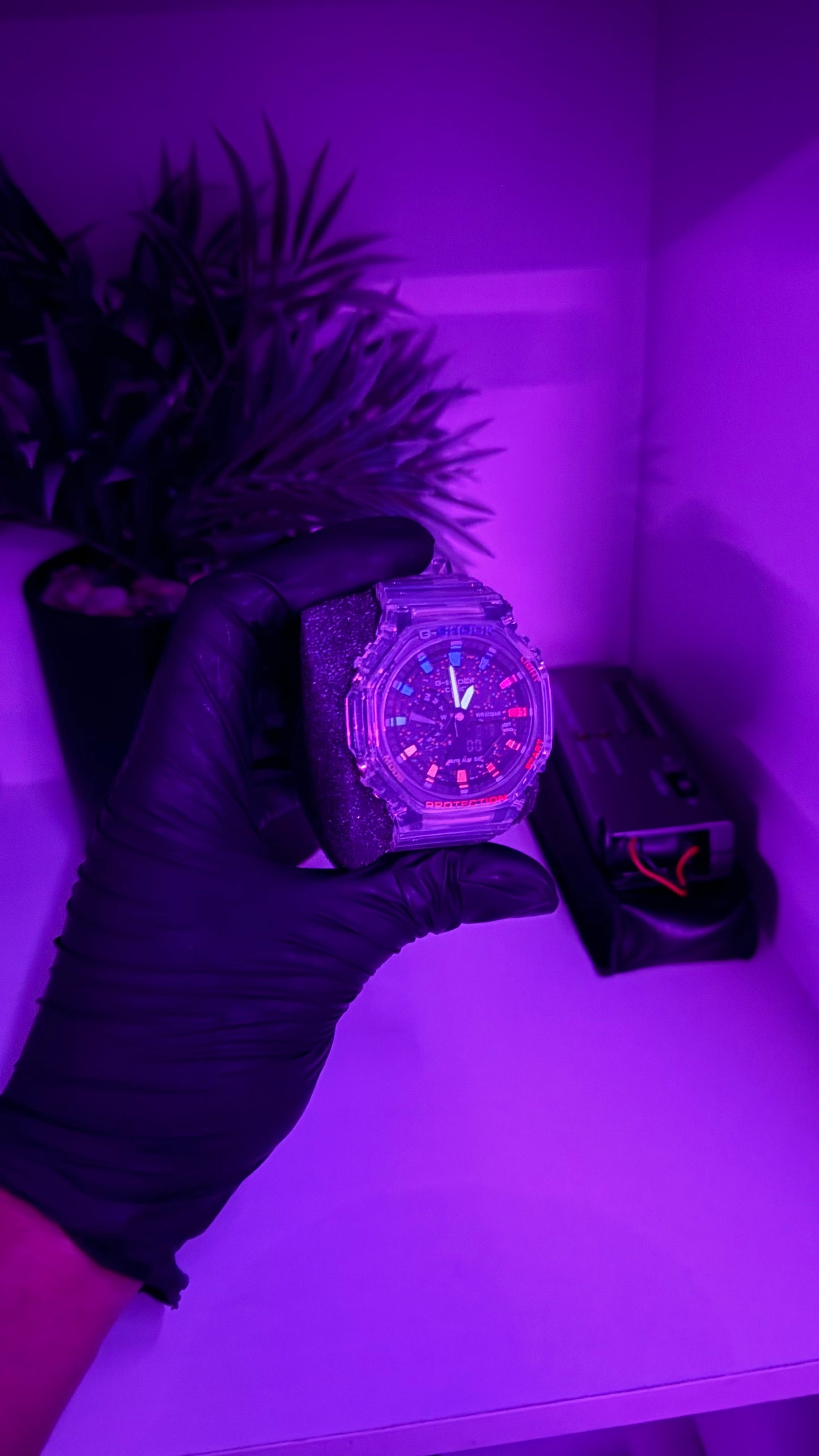 Custom 69 Shock 🌈